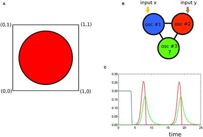 How Does a Simple Network of Chemical Oscillators See the Japanese Flag?